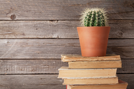 Cactus on old books in front of wooden wall. With copy spaceの写真素材