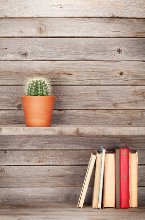 Old books on a wooden shelf and cactus plant. With empty spaceの写真素材