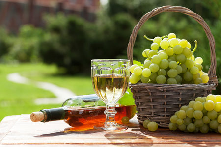 White wine glass and bottle with basket of grapes in sunny gardenの写真素材