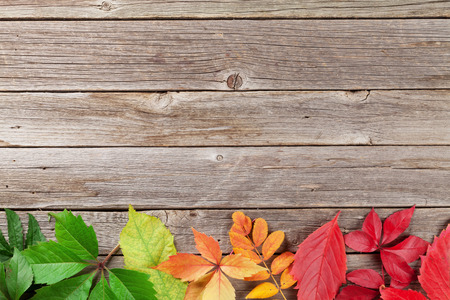 Autumn wooden background with colorful leaves. Top view with copyspace for your textの写真素材