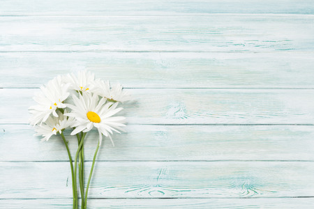 Garden chamomile flowers on wooden background. Top view with copy spaceの写真素材