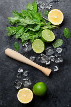 Mojito cocktail making. Mint, lime, ice ingredients and bar utensils. Top viewの写真素材