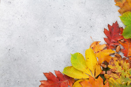 Autumn backdrop with colorful leaves over stone background. Top view with space for your text