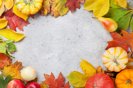 Autumn backdrop with pumpkins, apples, pears, grapes and colorful leaves over stone background. Top view with space for your textの写真素材