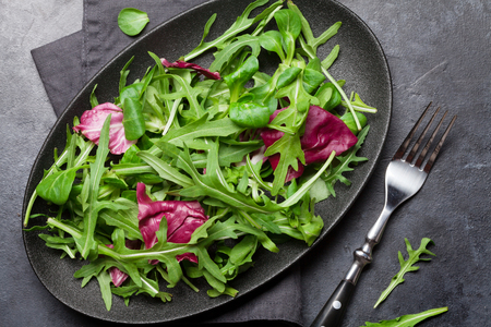 Green salad mix plate with rucola, frisee, radicchio and lamb's lettuce. Top viewの写真素材