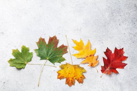 Autumn backdrop with colorful leaves over stone background. Top view with space for your text