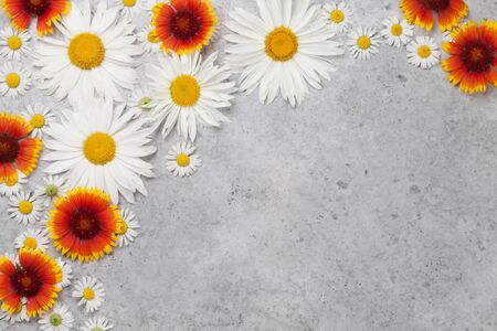 Garden chamomile flowers on stone background. Top view with copy spaceの写真素材