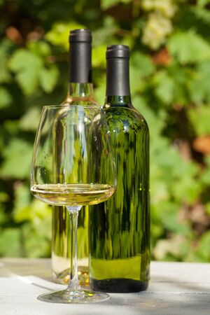 White wine bottles and wineglass on vineyard gardenの写真素材