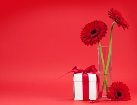 Valentines day greeting card with gerbera flower and gift box in front of red background with space for your greetingsの写真素材