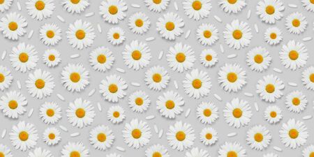 Camomile flower seamless texture. Fabric pattern backdrop over gray backgroundの写真素材