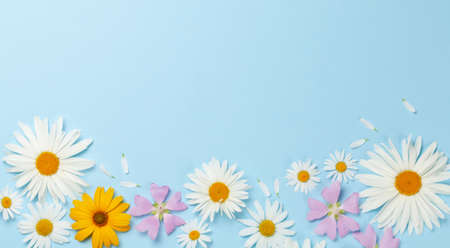 Garden flowers frame over blue background. Floral greeting card. Top view flat lay with copy spaceの写真素材