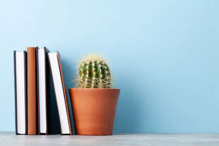 Office notepad supplies or school book items and cactus plant in front of blue wall with copy space for your textの写真素材