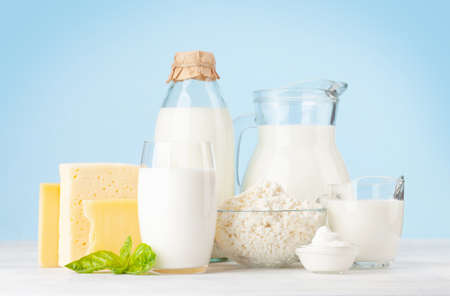 Various dairy products. Milk, cheese, cottage, sour cream. In front of blue background