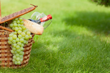 Picnic basket with wine, baguette and grapes on garden sunny grass with copy spaceの写真素材