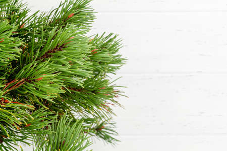 Christmas greeting card with fir tree and copy space for your xmas greetings