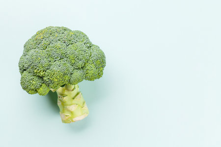 Broccoli. Healthy food and weigh loss concept. Diet and fitness. Top view flat lay with copy spaceの写真素材