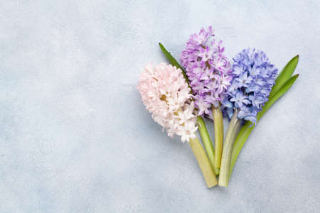 Hyacinth flowers bouquet on stone table. Easter greeting card template. Top view flat lay. With space for your greetingsの写真素材