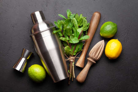 Mojito cocktail making. Ingredients and drink utensils. Top view flat lay