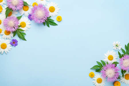 Various colorful garden flowers over blue background. Greeting card template. Top view flat lay with...