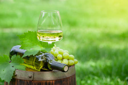 White wine bottle, glass and grape on old wine barrel with copy spaceの写真素材