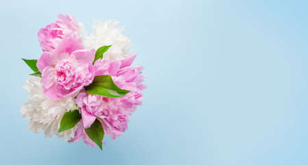 Beautiful garden peony flowers bouquet on blue background. Top view flat lay with space for your holiday greetingsの写真素材
