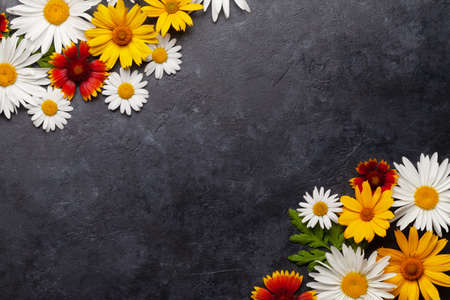 Chamomile flowers background. Garden daisy flowers over stone backdrop. Top view flat lay with copy spaceの写真素材