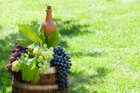 Various colorful grapes and wine bottle on wine barrel on outdoor sunny garden with copy spaceの写真素材