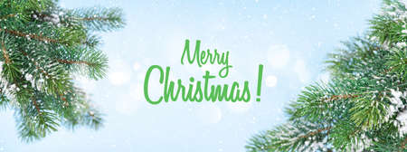 Christmas greeting card with fir tree branches covered by snow on a blue background. Holiday card...