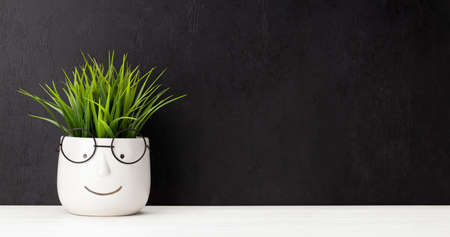Plant with glasses in front of chalkboard wall. Work and education concept. With copy space for your textの写真素材