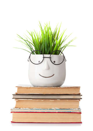 Table with books and plant with glasses. Work and education concept. Isolated on white backgroundの写真素材