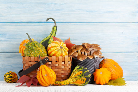 Various colorful squashes and pumpkins. Autumn vegetable and mushrooms harvest. With copy spaceの写真素材