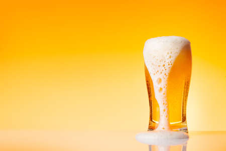 Glass with lager beer in front of yellow background. Studio shot with copy spaceの写真素材