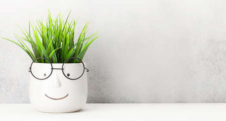 Table with plant in pot with glasses. Work and education concept. With copy spaceの写真素材