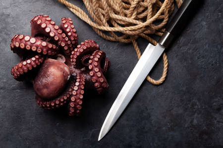 Tasty octopus on black background. Top view flat lay with copy spaceの写真素材