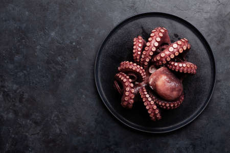 Tasty octopus on black background. Top view flat lay with copy spaceの写真素材