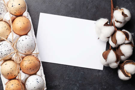 Easter eggs and cotton blossom. Spring greeting card with copy space. Top view flat lay