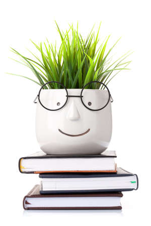 Table with notepads and plant with glasses. Work and education concept. Isolated on white backgroundの写真素材