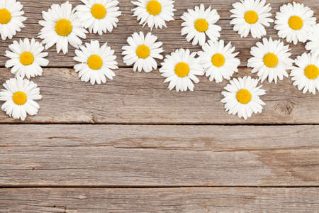 Chamomile garden flowers on wooden background. Top view flat lay with copy spaceの写真素材
