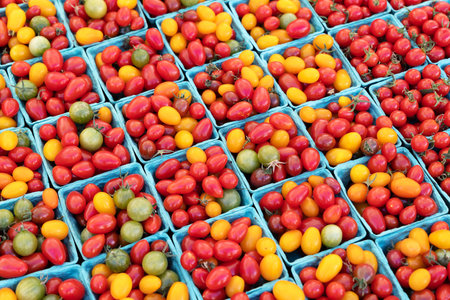 Various tomato cherry in boxes at farmers marketの写真素材
