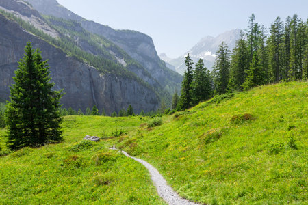 Panoramic view of green alpine meadows and the Alps mountains in Switzerlandの写真素材