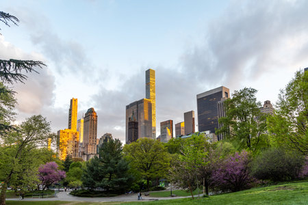 Manhattan skyscrapers and Central Park meadow at sunset