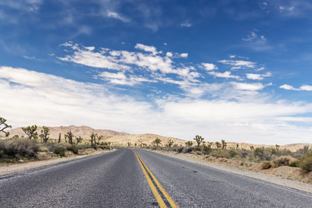 The perspective of a never-ending road, the journey of travel and adventure towards a beautiful...