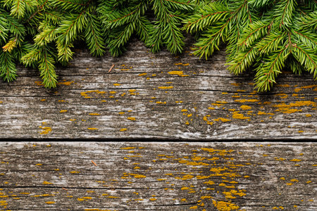 Christmas fir tree branch frame over wood with space for greetings text. Flat layの写真素材