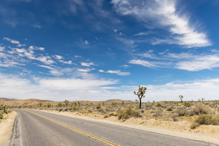 A breathtaking photo of Joshua Tree National Park, showing the unique landscape and beauty of the...