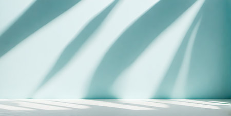 Abstract Palm Leaf Shadow on Light Blue Wall with copy space for your productの素材
