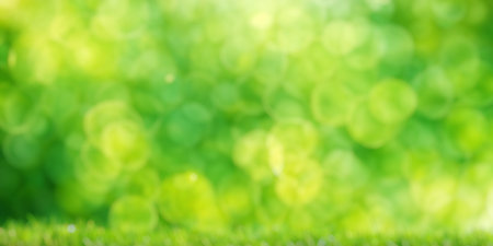 Sunny green foliage bokeh background. Ideal summer backdropの写真素材