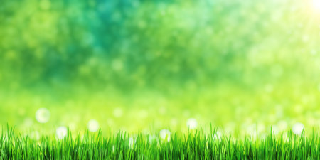 Sunny green foliage bokeh background with green grass. Ideal summer backdropの写真素材