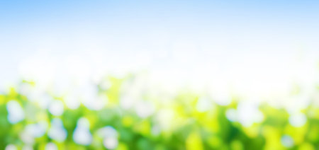 Sunny green foliage bokeh background. Ideal summer backdropの写真素材