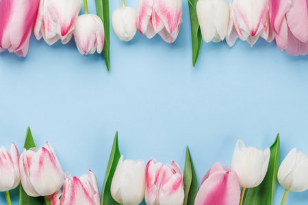Pastel colorful tulips grace the table, providing a serene and vibrant backdrop, perfect for spring celebrations or simple joysの写真素材