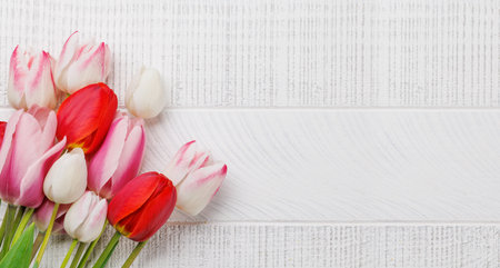 Pastel colorful tulips grace the table, providing a serene and vibrant backdrop, perfect for spring celebrations or simple joysの写真素材